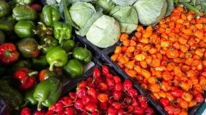 Read more about the article Detoxification related myths